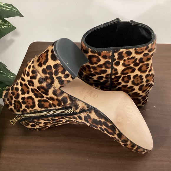 Ann Taylor: ankle bootie, leopard print - Picture 6 of 7